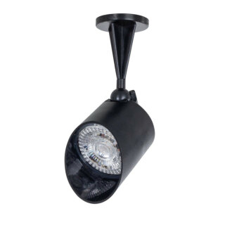 Прожектор светодиодный Arte Lamp Elsie A1024AL-1BK