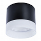 Потолочный светильник Arte Lamp Castor A5554PL-1BK