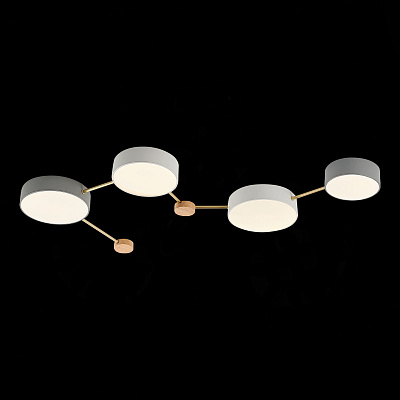 Потолочный светодиодный светильник Evoluce Dossena SLE600102-04