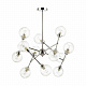 Подвесная люстра Lumion Everly 4438/12C