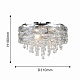 Потолочная люстра Icicle F-Promo 4250-3C