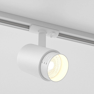 Трековый светильник Elektrostandard Cors 85513/01 a062391