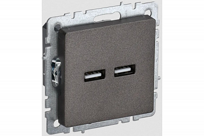 Розетка USB IEK Brite A+A 3,1А РЮ10-1-БрТБ бронза BR-U21-D31-K45