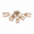 Потолочная люстра Freya Isabella FR5095CL-06G