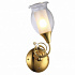 Бра Arte Lamp Mughetto A9289AP-1GO