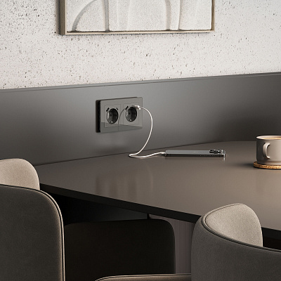 Розетка с заземлением и USB Werkel графит акриловый a064093