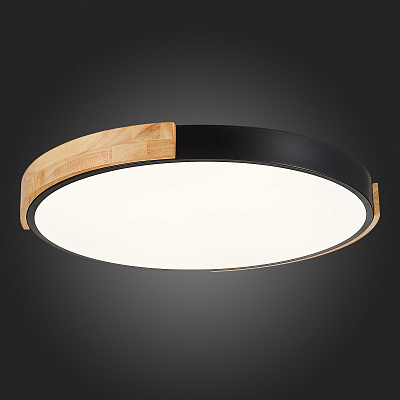 Потолочный светодиодный светильник Evoluce Delia SLE201342-01