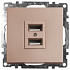 Розетка USB 2-местная (механизм), STEKKER Катрин GLS10-7115-02, 250B, 2,1A, шампань