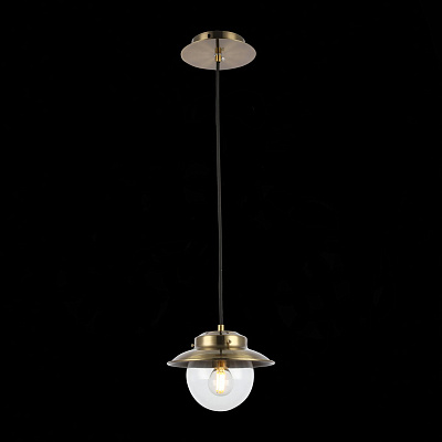 Подвесной светильник Evoluce Garonni SLE110103-01