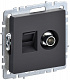 Розетка двойная TV+RJ45 IEK Brite кат.5E РТВ/РК12-БрГ графит BR-AK20-1-K53