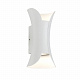 Уличный настенный светодиодный светильник ST Luce Cosetto SL1584.501.01