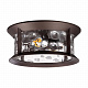 Уличный подвесной светильник Odeon Light Mavret 4961/2C