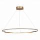 Люстра подвесная ST-Luce ST604 OUT ST604.243.46