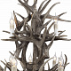 Подвесная люстра ST Luce Corna SL154.703.12