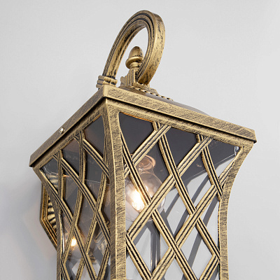 Уличный настенный светильник Elektrostandard Cassiopeya Cassiopeya D a025295