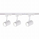 Трековый светильник Favourite Imago 4024-3U