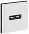 Розетка USB A+A 3,1А IEK FORTE&PIANO FP249M FP-U21-D31-M-K01 металл белый