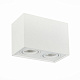 Потолочный светильник ST Luce ST109.507.02