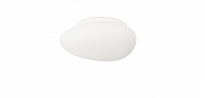 Потолочный светильник Simple Story 1205-LED12CL
