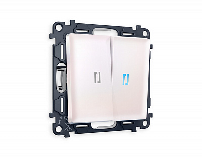 Комплект механизма 2-клавишного выключателя с подсветкой 10000K ALFA MA204020 Жемчуг QUANT