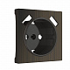Накладка для USB розетки Werkel W1179512 бронза a051064