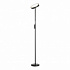Торшер Lussole Carmel LSP-0901-SE