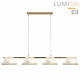 Подвесная люстра Lumion Fioro 6571/4C