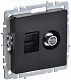 Розетка двойная TV+RJ45 IEK Brite кат.5E РТВ/РК12-БрЧ черный BR-AK20-1-K02