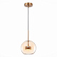 Подвесной светодиодный светильник ST Luce Bopone SL1133.333.01