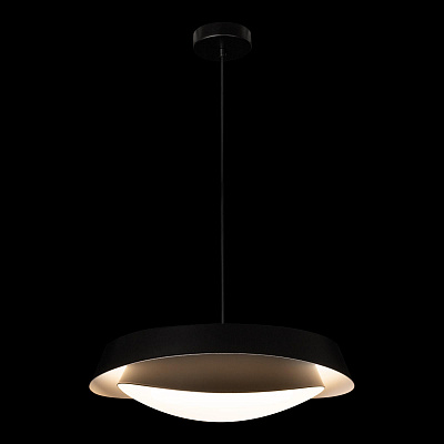 Подвесной светильник Loft It Petale 10256P Black
