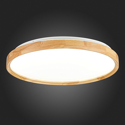 Потолочный светодиодный светильник Evoluce Delia SLE201382-01