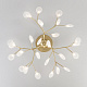 Потолочная люстра Bogates Foglia 343 Smart a053996