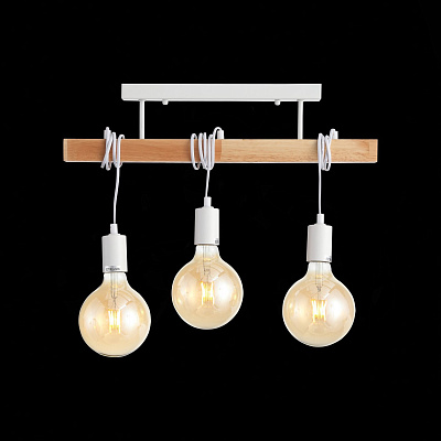 Потолочный светильник Evoluce Bagetti SL1142.503.03