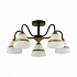 Люстра Lumion Nettie 5214/5C