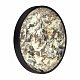 Настенно-потолочный светильник Odeon Light Bergi 5064/40L
