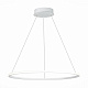 Люстра подвесная ST-Luce ST604 OUT ST604.543.34