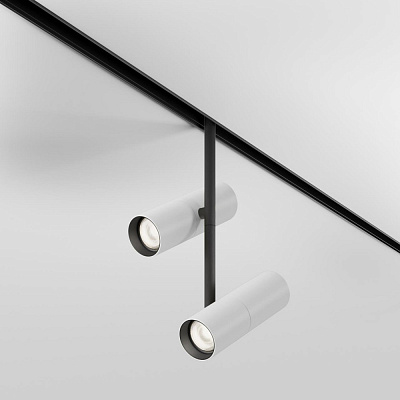 Магнитный трековый светильник Maytoni Elti Duo TR005-2-2X12W4K-BW