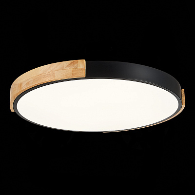 Потолочный светодиодный светильник Evoluce Delia SLE201342-01