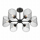 Люстра Lumion Tidina 8238/6C