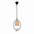 Подвесной светильник Loft IT Loft1029A-1