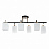 Потолочная люстра Arte Lamp Merope A4071PL-6BK