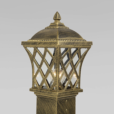 Уличный ландшафтный светильник Elektrostandard Cassiopeya GL 1018F a039870