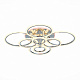 Люстра потолочная EVOLED Cerina SLE500512-08RGB