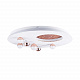 Потолочный светильник Favourite Plaides 4630-5C