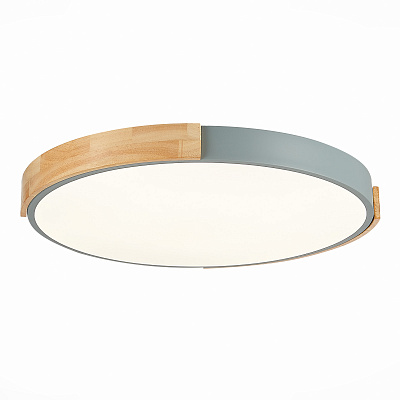 Потолочный светодиодный светильник Evoluce Delia SLE201372-01