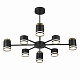 Люстра Lumion Virsava 8234/8C
