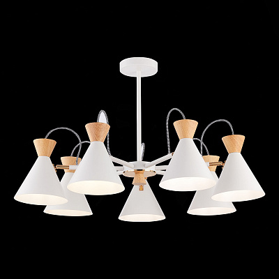 Люстра Evoluce Modica SLE125102-07