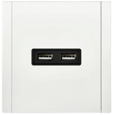 Розетка USB A+A 3,1А IEK FORTE&PIANO FP249M FP-U21-D31-M-K01 металл белый