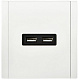 Розетка USB A+A 3,1А IEK FORTE&PIANO FP249M FP-U21-D31-M-K01 металл белый
