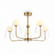 Люстра Freya Doublety FR5382PL-05BS